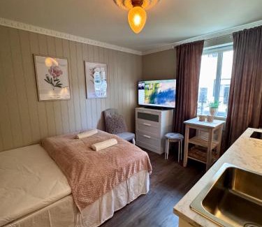 Andalsnes Apartamento | Bispen Villa Utsikten