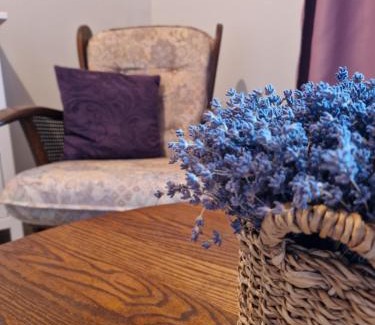 Mazeikiai Apartamento | Bite Le Vanda