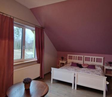 Mazeikiai Apartamento | Bite Le Vanda