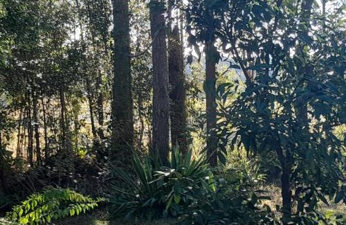Nimbin Apartamento | Bitolovo The Blue House