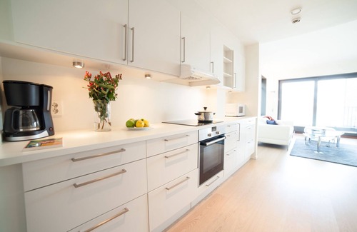 Bjørvika Apartamento | BJØRVIKA APARTMENTS, Opera Area, Oslo city center