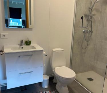 Vesturbyggð Apartamento | Bjarkarholt Guesthouse