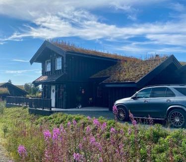 Rauland Casa | Bjarnebu - 4 bedroom cabin in Rauland