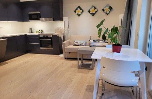 Bjørvika Apartamento | Bjorvika, Oslo Center