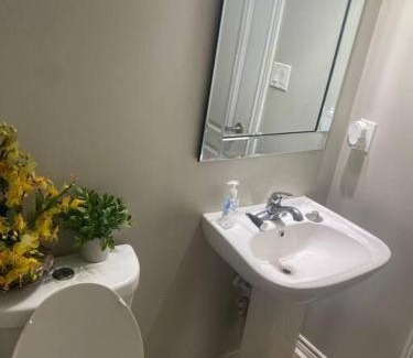 Brampton Apartamento | Bk Sarp getaway