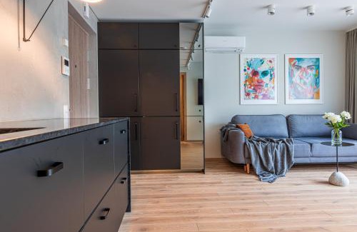 Palanga Apartamento | Black amber