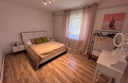 Zrenjanin Apartamento | Black and Ginger Residence