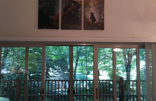 Barnardsville Casa | Black Bear Cottage por el arroyo