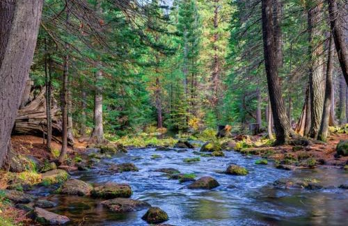 Black Butte Ranch Casa | Black Butte Ranch: Hawks Beard Home