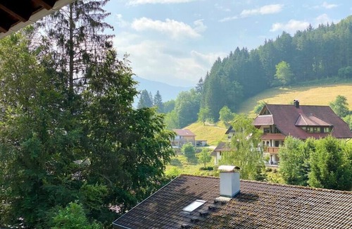 Elzach Apartamento | Black Forest Apartment 1