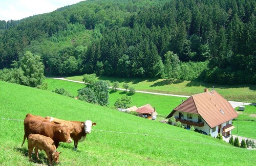 Hofstetten Apartamento | Black Forest farmhouse in charming location