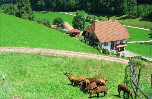 Hofstetten Apartamento | Black Forest farmhouse in charming location