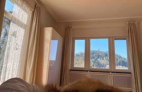 Baden-Baden Apartamento | Black Forest Splendor
