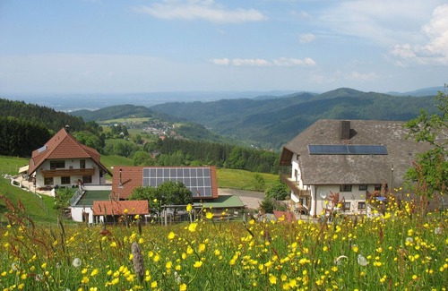 Horben Apartamento | Black Forest view, type B, 90 sqm, 1st floor, max. 4 pers.