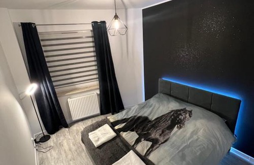 Pierwoszyno Apartamento | Black Horse 24h zameldowanie