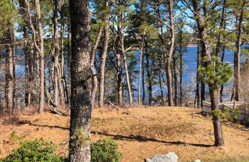 Wellfleet Casa | Blackfish Bungalow