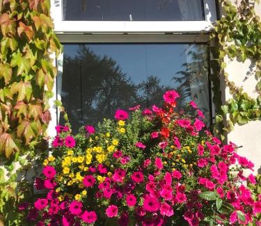 Knockaderry Cross Roads Casa | Blackrath Farmhouse