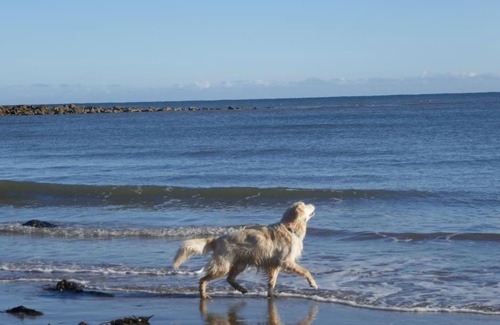 Wykeham Casa | Blacksmith’s Barn - Cosy, Chilled & Dog Friendly.