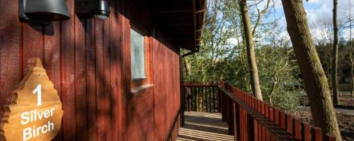 Freefolk Complejo | Blackwood Forest Cabins - Forest Holidays