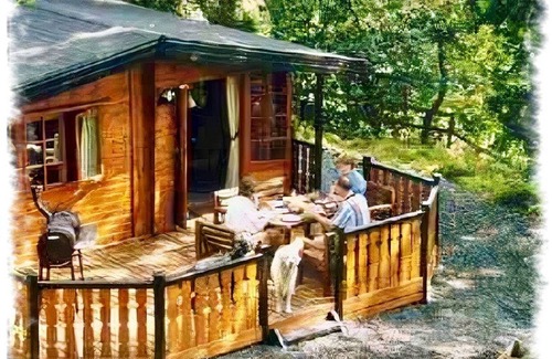 Elterwater Cabina | Blelham Tarn (Rustic yet modern cabin in tranquil woodland with own EV charger)