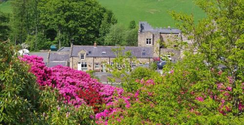 Brampton Cama Y Desayuno | Blenkinsopp Castle Inn