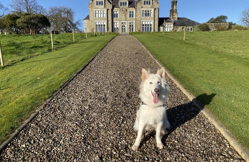 Fivemiletown Apartamento | Blessingbourne Country Estate -Holly Courtyard Apartment