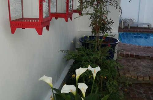 Franschhoek Cabaña | Bleu Cobalt Cottage