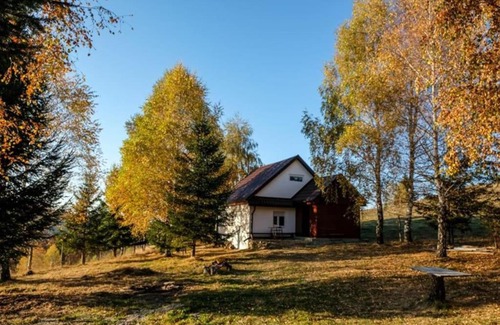 Paltinis Casa | Blidarei - Transilvanian Haven