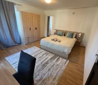 Binningen Apartamento | BLISS Basel Residence