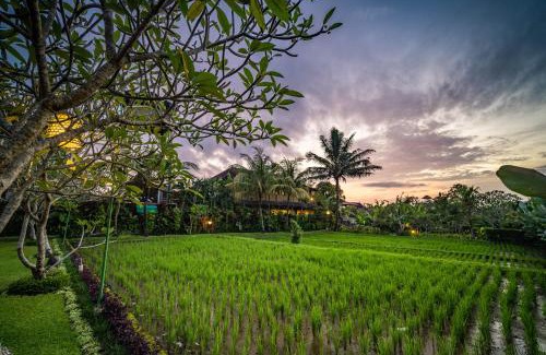 Kedewatan Hotel | Bliss Ubud Spa Resort