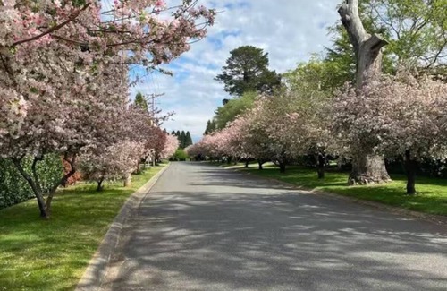 Burradoo Cabaña | Blossom Cottage