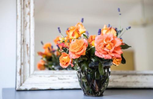 Tolkmicko Apartamento | Blossom Hill Apartments