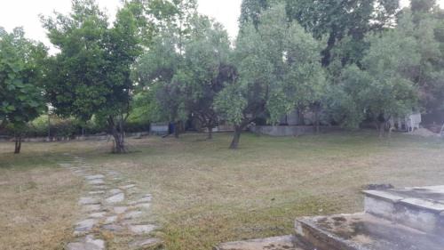 Nea Iraklitsa Apartamento | Blue Appartment