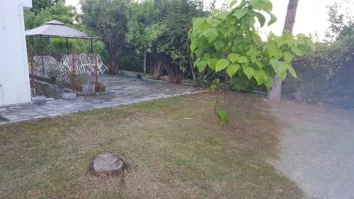 Nea Iraklitsa Apartamento | Blue Appartment