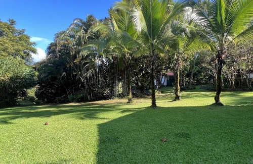 Quepos Cabaña | Blue Banyan Inn