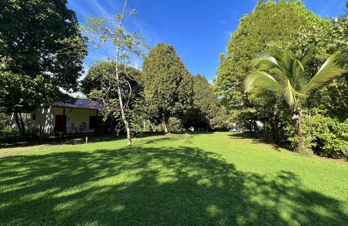 Quepos Cabaña | Blue Banyan Inn