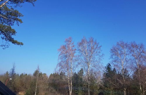 Ostvorpommern Apartamento | Blue beach house behind the dune - 1st row, 20m to the beach - Blue beach house