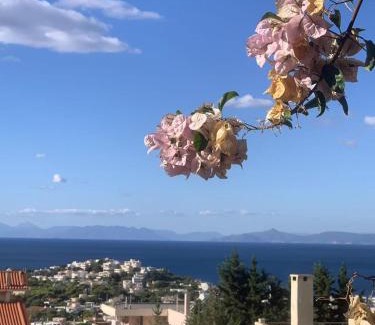 Saronida Casa | Blue Echoes