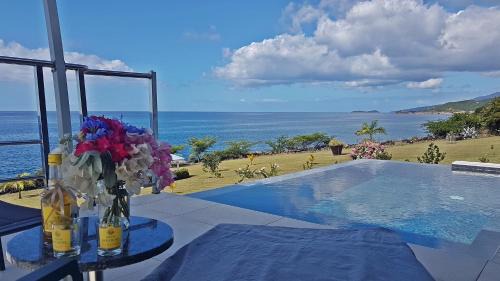 Bouillante Villa | Blue Haven Villas Guadeloupe Villa Blue Moon
