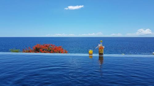 Bouillante Villa | Blue Haven Villas Guadeloupe Villa Blue Moon