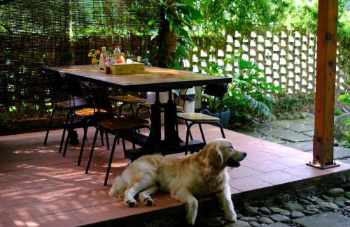 Cat Hai Hotel | Blue Lagoon Cat Ba