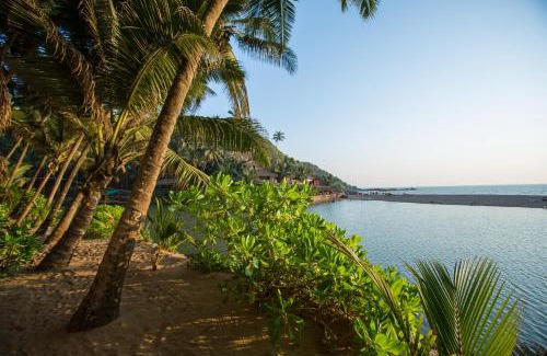 Cola Complejo | Blue Lagoon Resort Goa