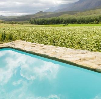 Oudtshoorn Cama Y Desayuno | Blue Lily Retreat