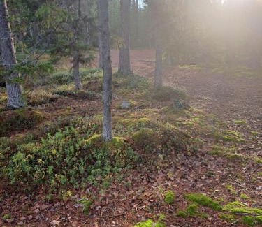 Ylitornio Chalet De Esquí | Blue Moment at the Arctic Circle- Forest, beach, activities