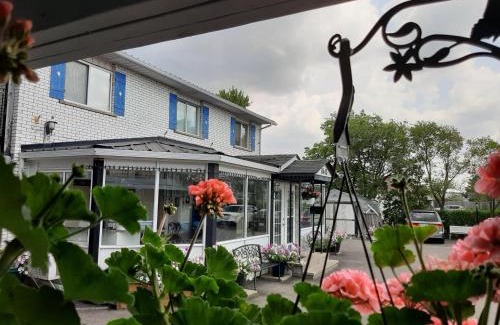 Niagara Falls Hotel | Blue Moon Motel