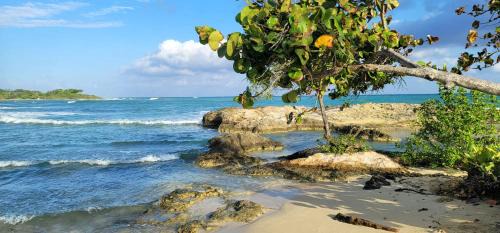 Lucea Cama Y Desayuno | Blue Paloma Bed & Breakfast