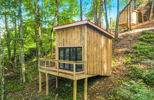 Laurel Springs Alquiler De RV | Blue Ridge Parkway / Off-Grid Campground / Two Cabins
