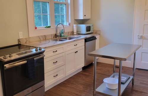 Hartwell Casa | Blue Rose Bungalow: Downtown vibe w/1896 charm. Lake Life. Gym. Kitchen. Parking