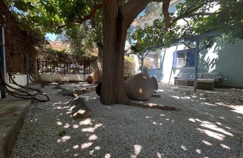 Skala Eresou Apartamento | Blue Seaside House with Garden
