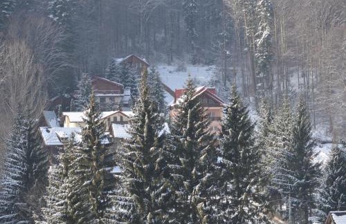 Sinaia Apartamento | Blue SKY Resort Colina Marei